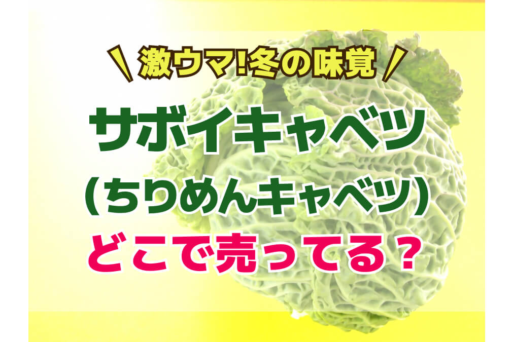 【激ウマ！冬の味覚】サボイキャベツ（ちりめんキャベツ）はどこで売ってる？