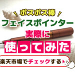 フェイスポインター実際に使ってみた！